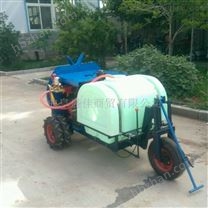 柴油風(fēng)送打藥機(jī) 小型自走式噴霧器