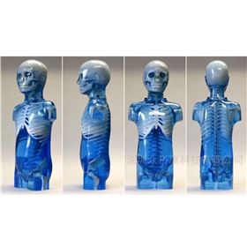 CIRS 715兒童訓練模體