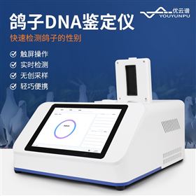YP-P16鸟类DNA鉴定仪
