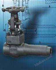 锻钢延长阀体闸阀