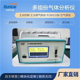 RL-M500便携式多参数气体分析仪