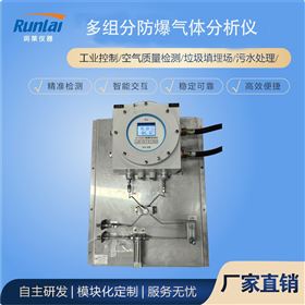 RL-E500Ex型掛板式隔爆多組分氣體分析儀