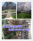 保定遮陽網(wǎng)廠家/遮陽網(wǎng)價(jià)格/黑色遮陽網(wǎng)批發(fā)