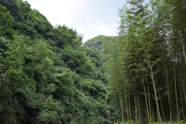 深圳市生態(tài)環(huán)境局動態(tài)調整深圳碳市場2024年度重點排放單位名單公示