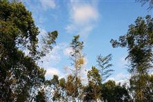 內(nèi)蒙古自治區(qū)2025年第二批中央大氣污染防治資金擬支持項目公示