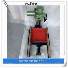 閘門結構特點及產品應用