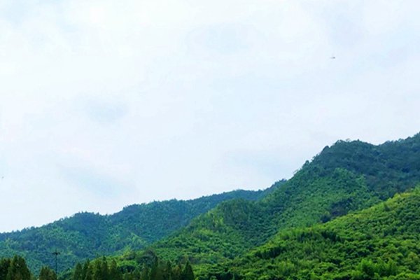 國(guó)家能源局煤炭司負(fù)責(zé)同志就《關(guān)于推進(jìn)煤炭與新能源融合發(fā)展的指導(dǎo)意見(jiàn)》答記者問(wèn)