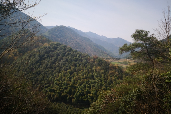 甘肅“五棋聯(lián)動(dòng)”筑牢西部生態(tài)屏障，PM2.5平均濃度連續(xù)兩年同比下降