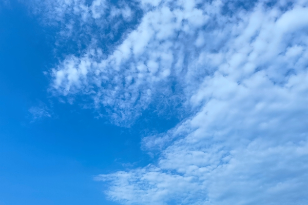 8300万！辽阳球团超低排放改造项目EPC总承包招标