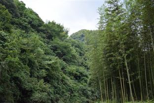 衡水市繪就“藍天碧水凈土”新畫卷