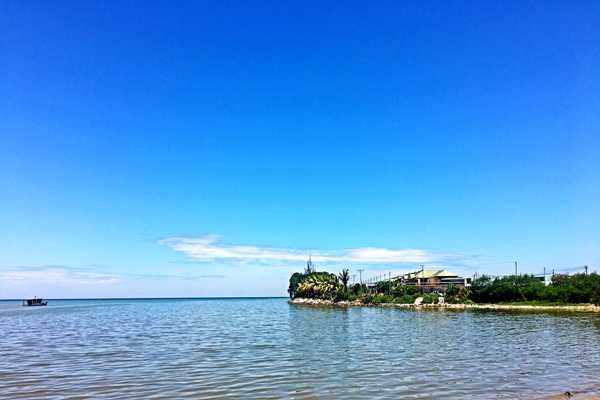 《海洋生態(tài)保護(hù)修復(fù)資金管理辦法》2026年1月1日起施行！