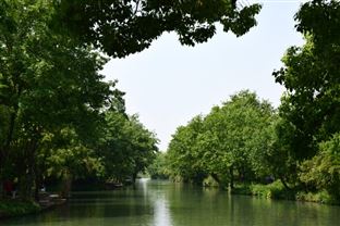 从淤积河到生态廊！荔湾治水见真章