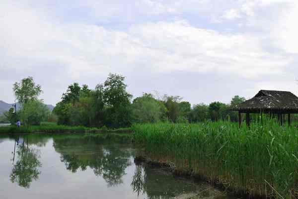 全國較大面積農(nóng)村黑臭水體已基本消除