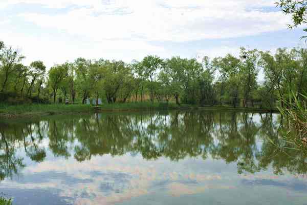 繪就綠心綠色轉(zhuǎn)型發(fā)展新畫(huà)卷