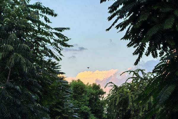 “萬人嫌”的工業(yè)尾氣，就這樣水靈靈地“洗白”了？