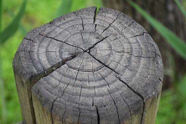 烏茲別克斯坦國(guó)家生態(tài)和氣候變化委員會(huì)專家團(tuán)訪問(wèn)譜尼測(cè)試烏魯木齊公司