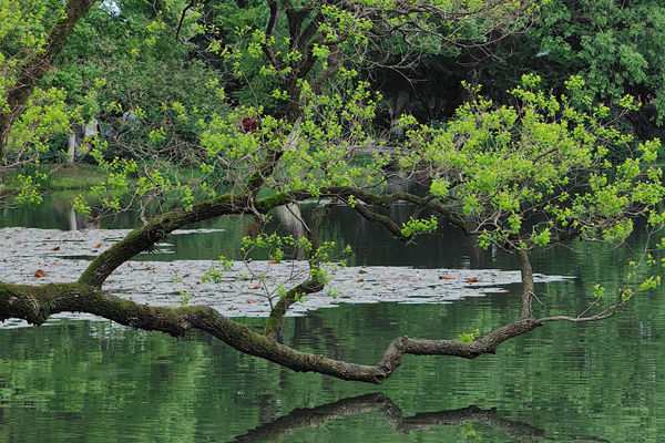 句容投資集團(tuán)轉(zhuǎn)型再提速：與綠色動力環(huán)保集團(tuán)簽署污泥處置項(xiàng)目框架協(xié)議
