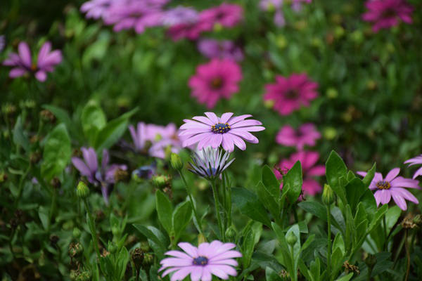 生態(tài)環(huán)境部環(huán)境影響評(píng)價(jià)與排放管理司有關(guān)負(fù)責(zé)人就《生態(tài)環(huán)境分區(qū)管控技術(shù)指南 總綱》（HJ 1430-2025）答記者問