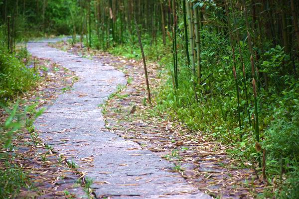 安徽三部門(mén)聯(lián)合發(fā)文！加強(qiáng)建設(shè)用地土壤污染防治