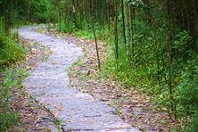 安徽三部門聯(lián)合發(fā)文！加強(qiáng)建設(shè)用地土壤污染防治