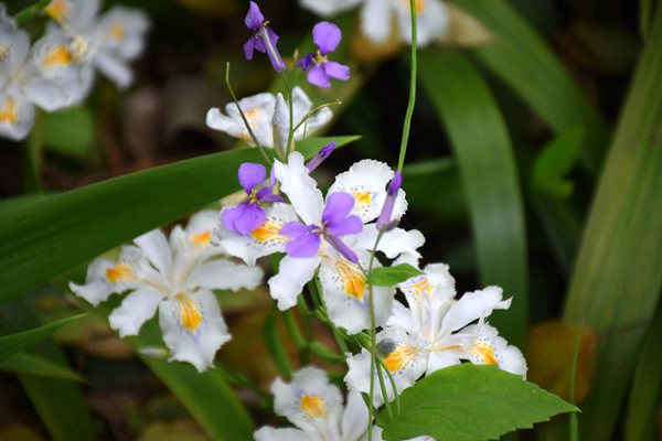 中共中央 國(guó)務(wù)院關(guān)于錨定農(nóng)業(yè)農(nóng)村現(xiàn)代化 扎實(shí)推進(jìn)鄉(xiāng)村全面振興的意見(jiàn)