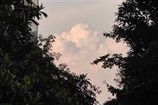 宣城市“點線面”齊發(fā)力 提升揚塵治理管控水平