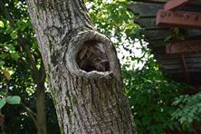 《廣西壯族自治區(qū)生態(tài)環(huán)境損害賠償工作細(xì)則》公開征求意見！