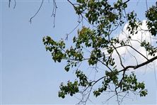 聚焦，是VOCs治理行业淘汰赛的出路