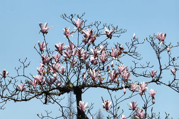 《美丽常州建设行动方案（2026—2030年）》发布