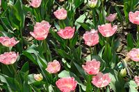 生态环境部直属企事业单位2026年度公开招聘公告