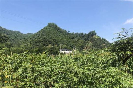 《湖南省工業(yè)碳減排標(biāo)桿企業(yè)認(rèn)定管理辦法》印發(fā)