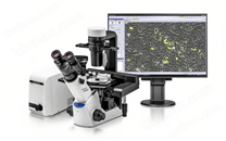 奧林巴斯CKX53倒置顯微鏡