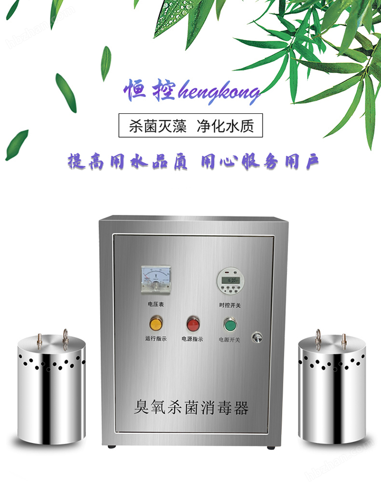 WTS-2B臭氧水箱自潔消毒器