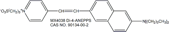 Di-4-ANEPPS 膜電位熒光探針