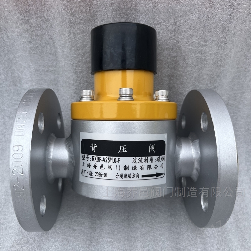 RXBF-S25/1.0-F背压阀