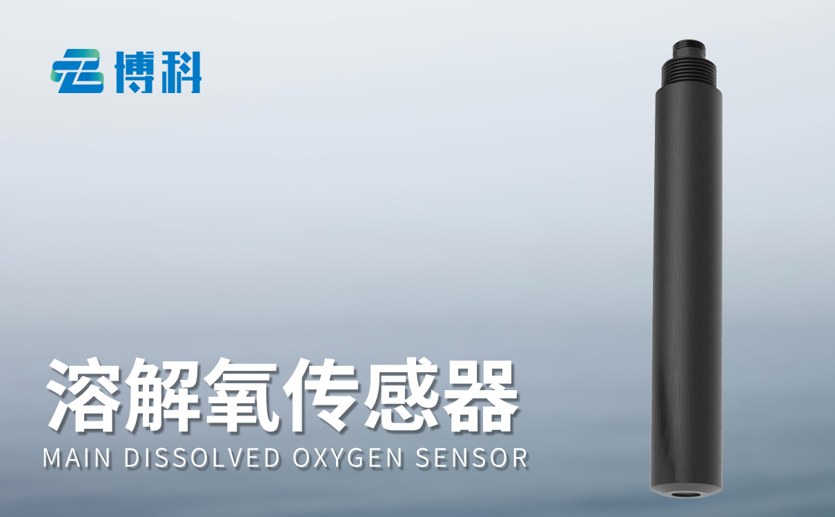 溶解氧传感器