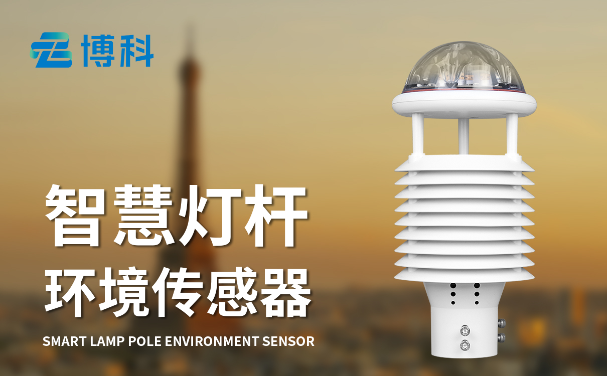 智慧燈桿環(huán)境傳感器